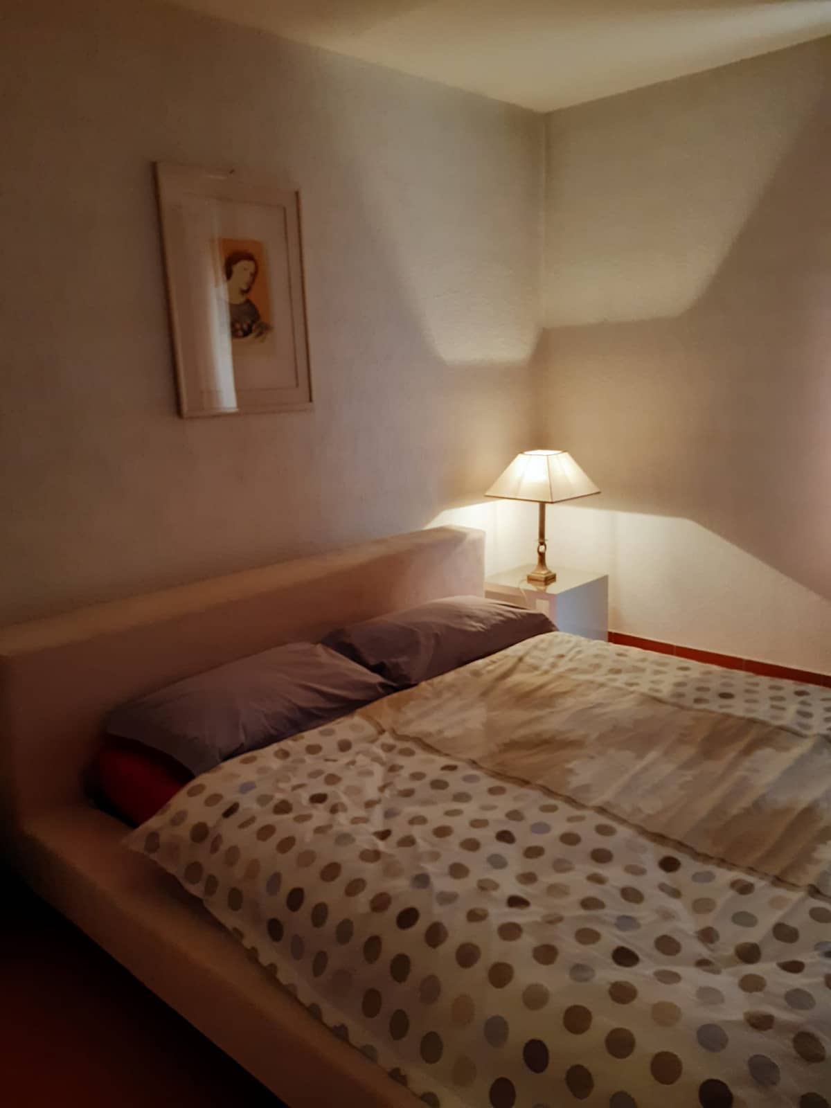 Immagine WhatsApp 2024-04-11 ore 12.40.08_0811a7d3