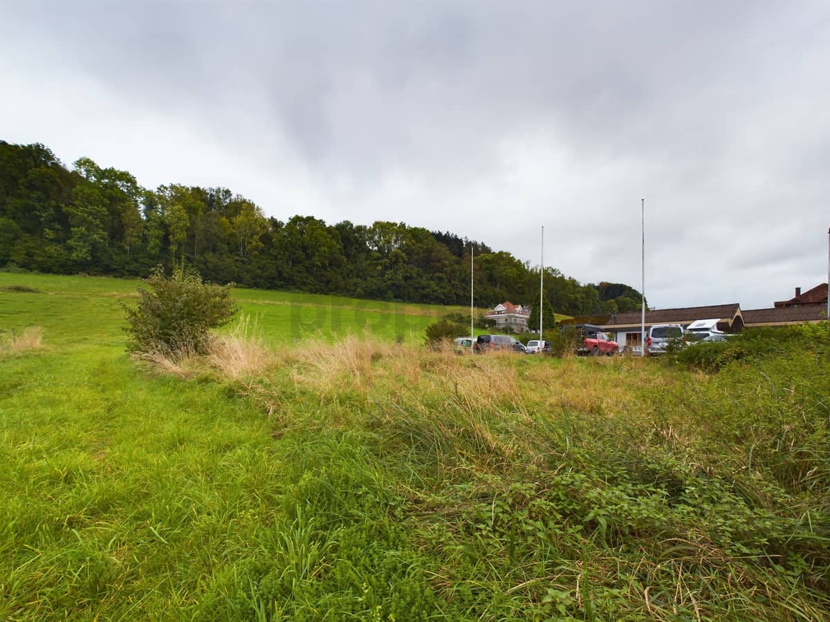 CAM01411G0-PR0191-STILL003