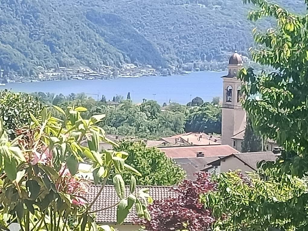 3 (1)