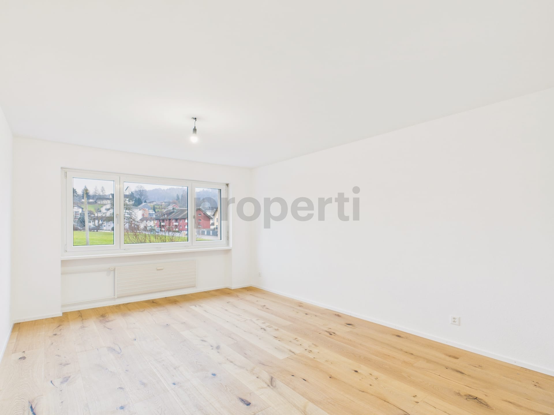 Aktuelles Foto