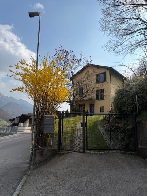 image7